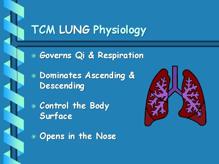 TCM LUNG Physiology b b Governs Qi & Respiration Dominates Ascending & Descending Control