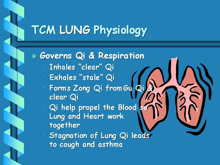 TCM LUNG Physiology b Governs Qi & Respiration • • • Inhales “clear” Qi