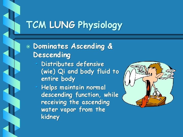 TCM LUNG Physiology b Dominates Ascending & Descending • Distributes defensive (wie ) Qi
