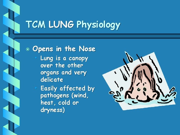 TCM LUNG Physiology b Opens in the Nose • Lung is a canopy over