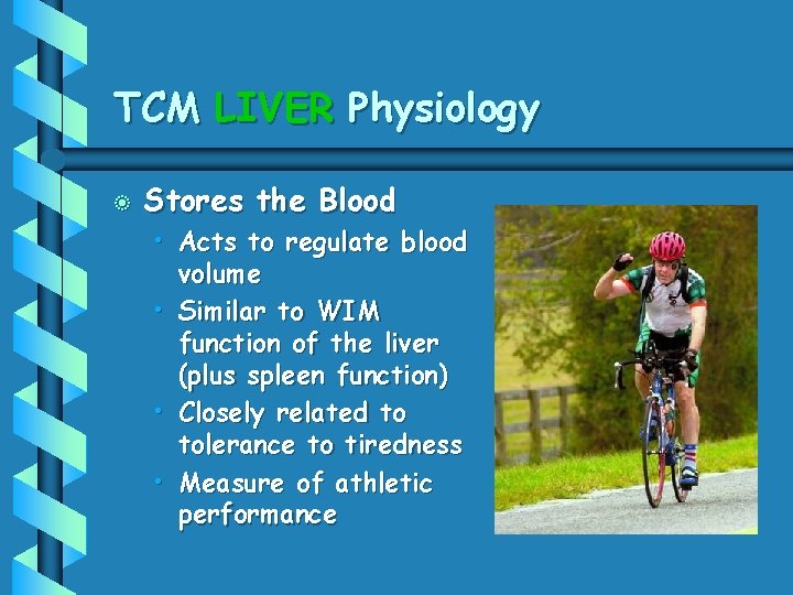 TCM LIVER Physiology b Stores the Blood • Acts to regulate blood volume •