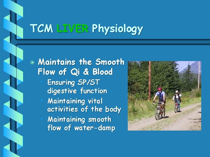 TCM LIVER Physiology b Maintains the Smooth Flow of Qi & Blood • Ensuring