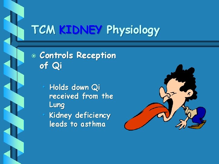 TCM KIDNEY Physiology b Controls Reception of Qi • Holds down Qi received from