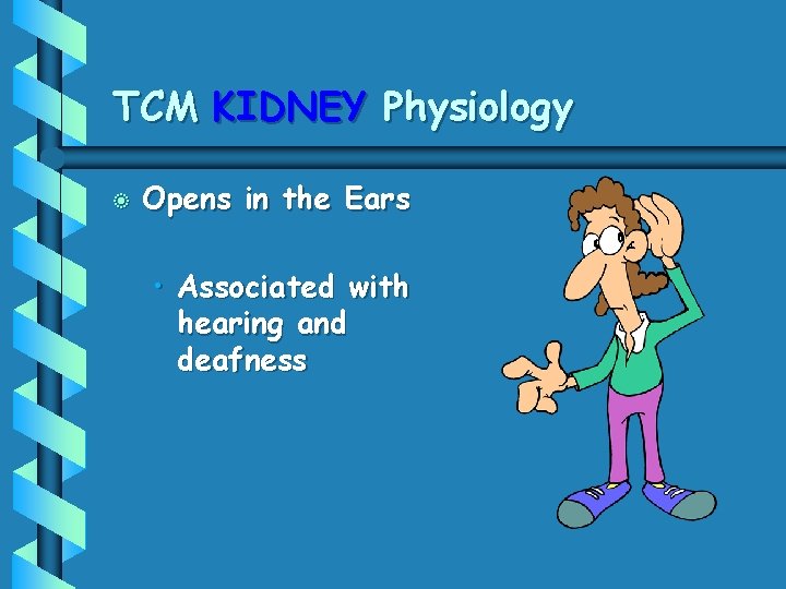 TCM KIDNEY Physiology b Opens in the Ears • Associated with hearing and deafness