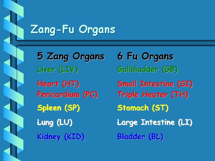 Zang-Fu Organs 