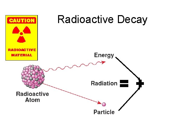 Radioactive Decay 