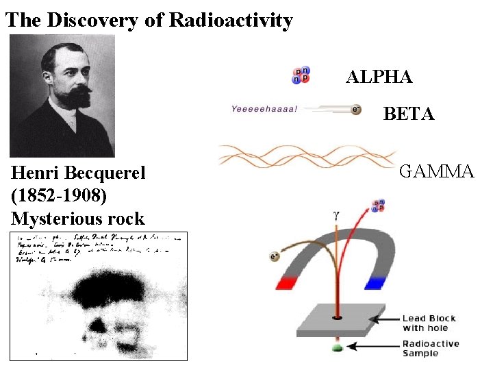 The Discovery of Radioactivity ALPHA BETA Henri Becquerel (1852 -1908) Mysterious rock GAMMA 