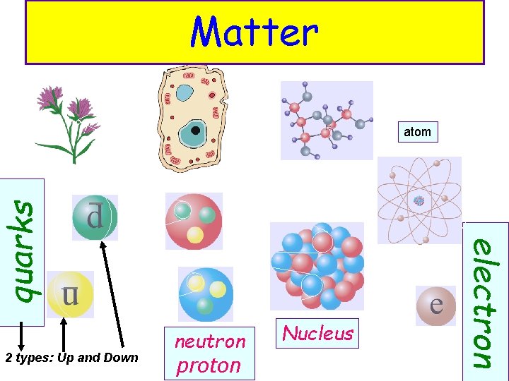 Matter 2 types: Up and Down neutron proton Nucleus electron quarks atom 