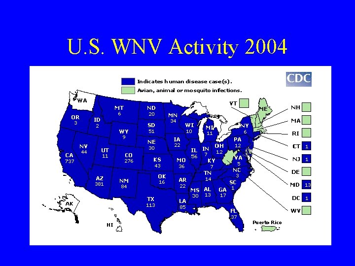 U. S. WNV Activity 2004 