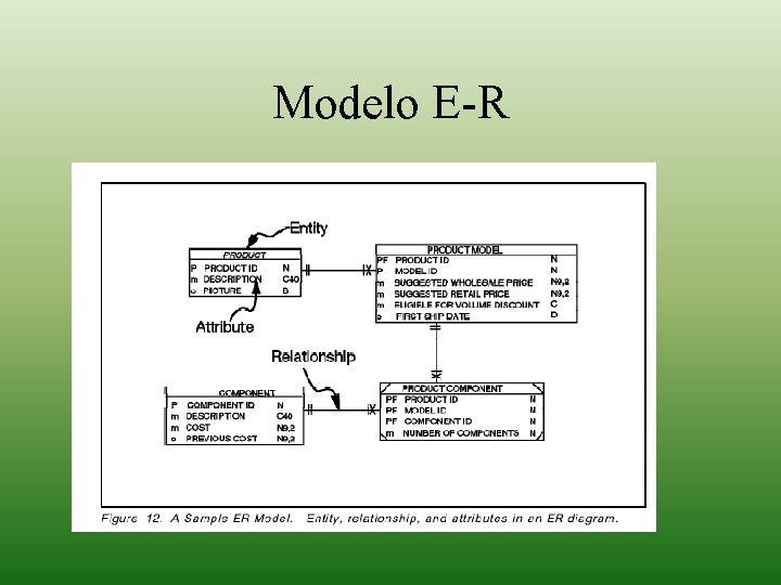Modelo E-R 