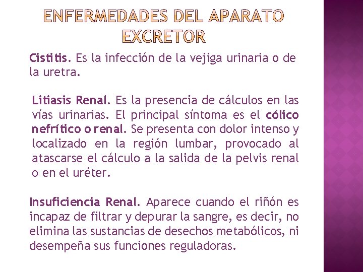 Cistitis. Es la infección de la vejiga urinaria o de la uretra. Litiasis Renal.