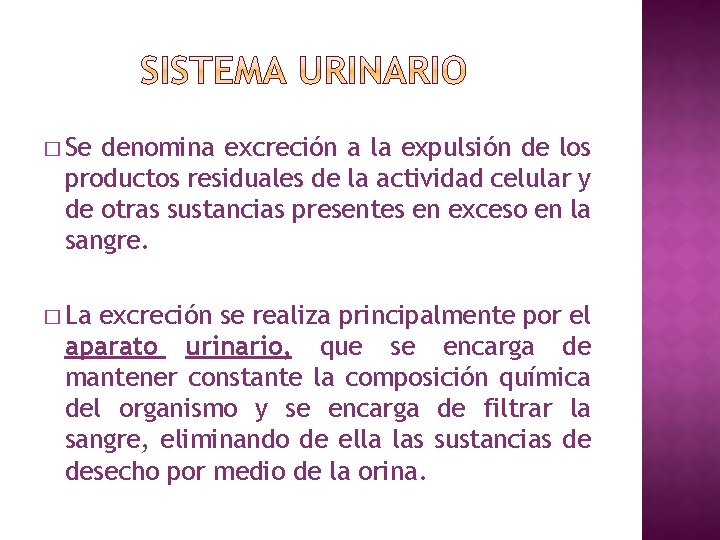 � Se denomina excreción a la expulsión de los productos residuales de la actividad