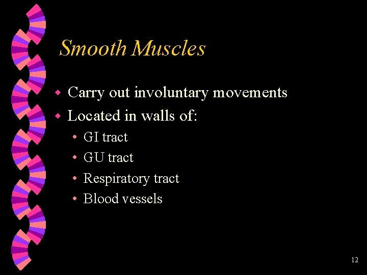 Smooth Muscles Carry out involuntary movements w Located in walls of: w • •