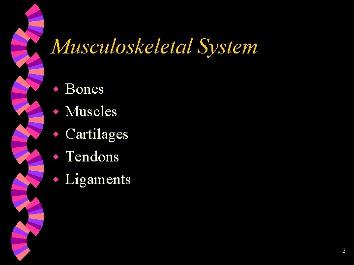 Musculoskeletal System w w w Bones Muscles Cartilages Tendons Ligaments 2 