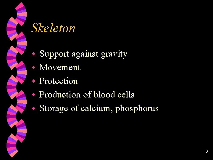 Skeleton w w w Support against gravity Movement Protection Production of blood cells Storage