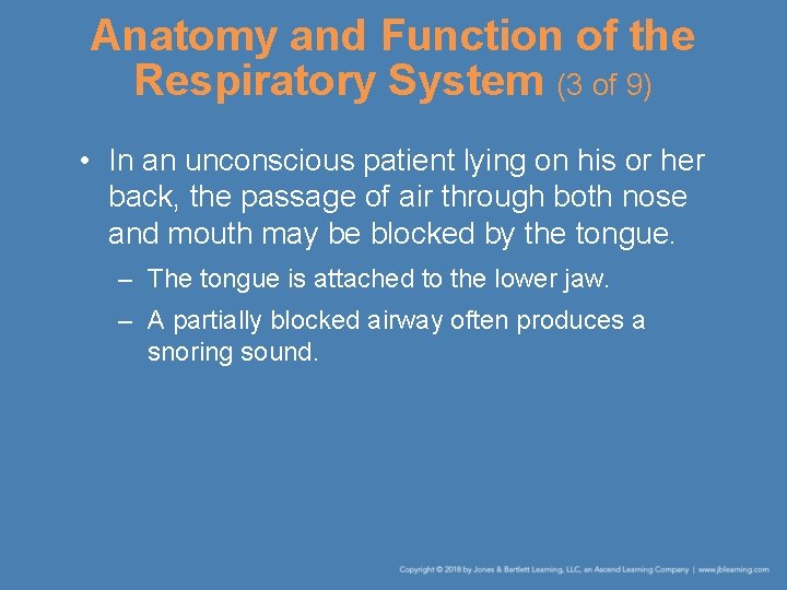 Anatomy and Function of the Respiratory System (3 of 9) • In an unconscious