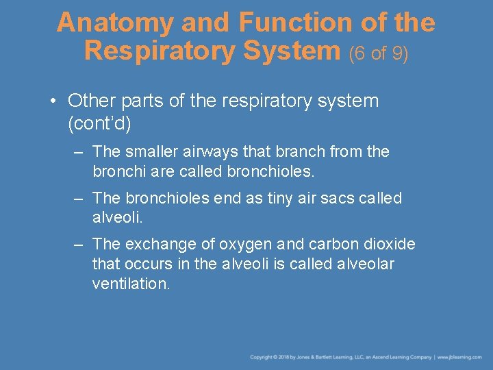 Anatomy and Function of the Respiratory System (6 of 9) • Other parts of