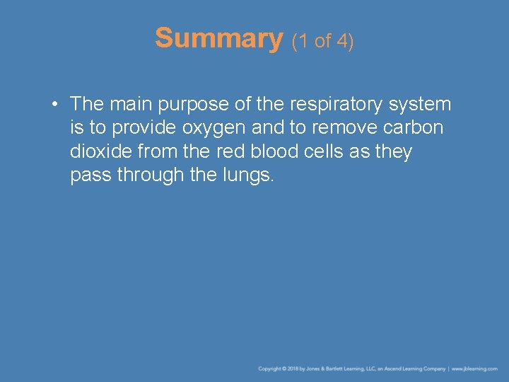 Summary (1 of 4) • The main purpose of the respiratory system is to