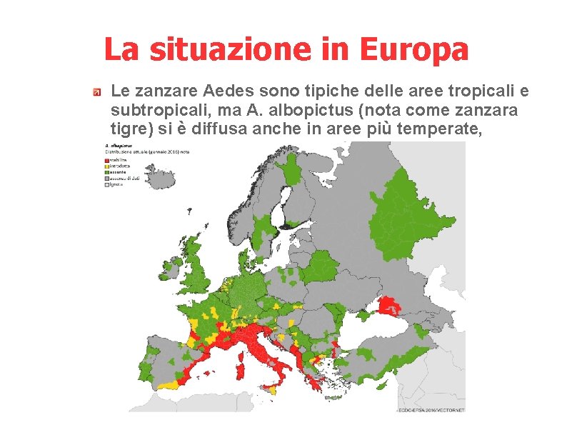 La situazione in Europa Le zanzare Aedes sono tipiche delle aree tropicali e subtropicali,