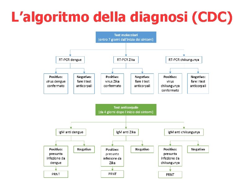 L’algoritmo della diagnosi (CDC) 