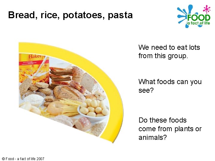 Bread, rice, potatoes, pasta We need to eat lots from this group. What foods
