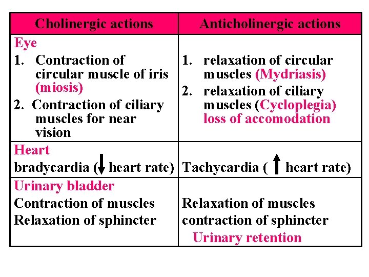 Cholinergic actions Eye 1. Contraction of circular muscle of iris (miosis) 2. Contraction of