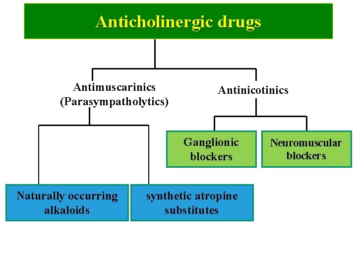 Anticholinergic drugs Antimuscarinics (Parasympatholytics) Antinicotinics Ganglionic blockers Naturally occurring alkaloids synthetic atropine substitutes Neuromuscular