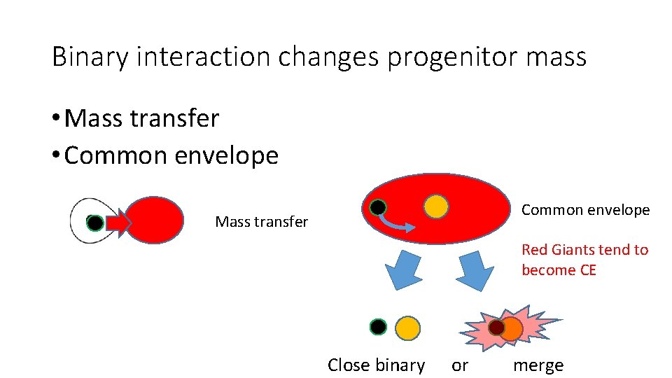 Binary interaction changes progenitor mass • Mass transfer • Common envelope Mass transfer Red Binary interaction changes progenitor mass • Mass transfer • Common envelope Mass transfer Red