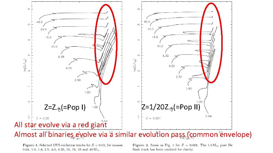 Z=Z (=Pop I) Z=1/20 Z (=Pop II) All star evolve via a red giant Z=Z (=Pop I) Z=1/20 Z (=Pop II) All star evolve via a red giant