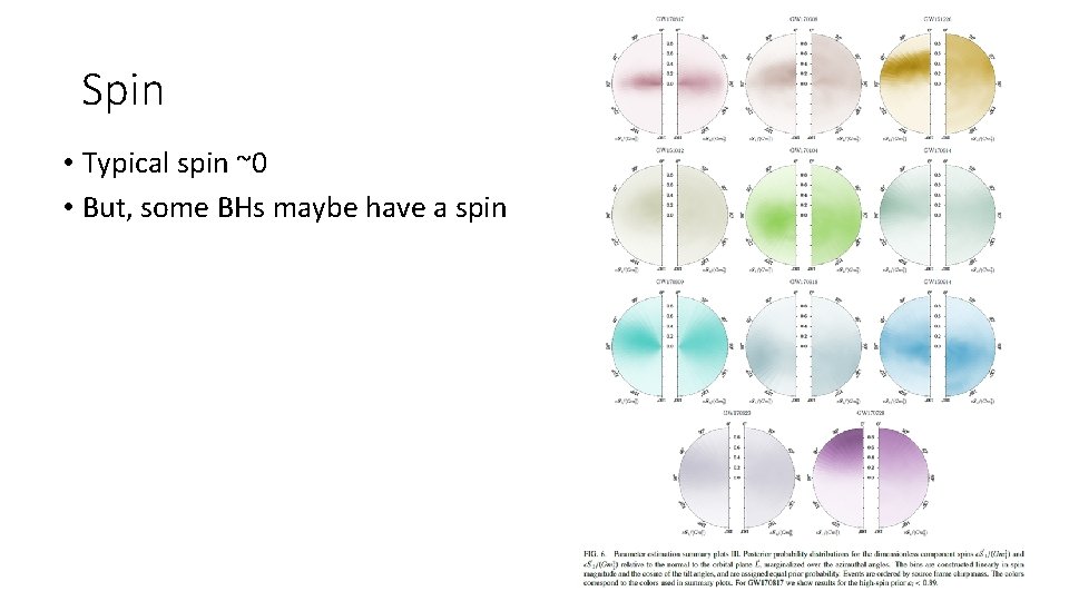 Spin • Typical spin ~0 • But, some BHs maybe have a spin Spin • Typical spin ~0 • But, some BHs maybe have a spin