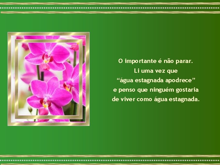 O importante é não parar. Li uma vez que “água estagnada apodrece” e penso