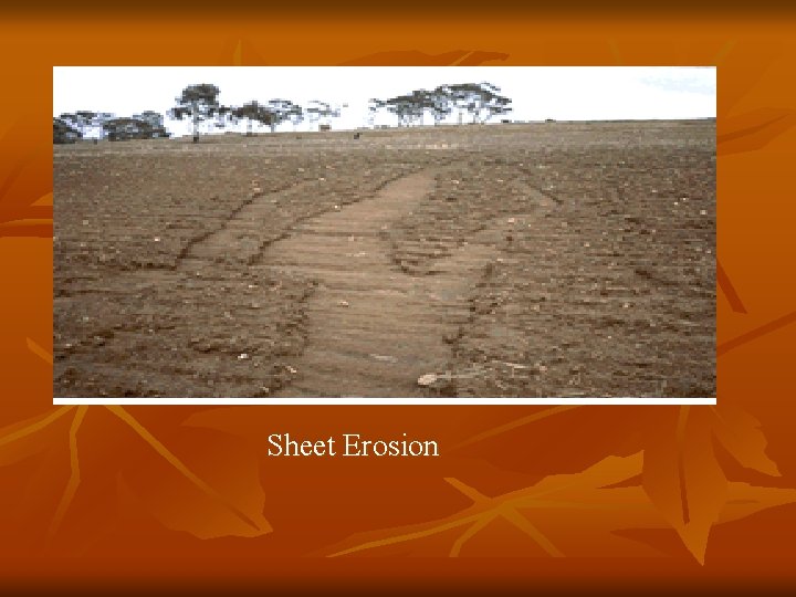 Sheet Erosion 