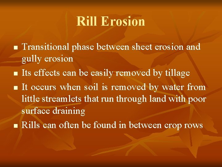 Rill Erosion n n Transitional phase between sheet erosion and gully erosion Its effects