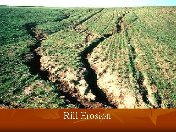 Rill Erosion 