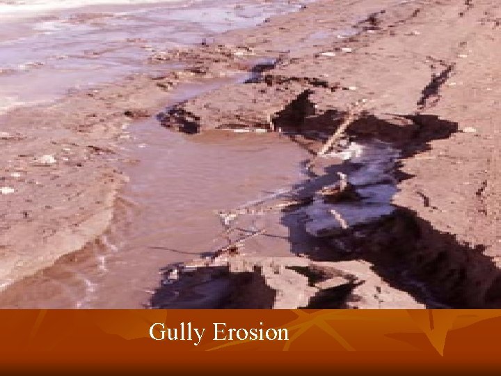 Gully Erosion 