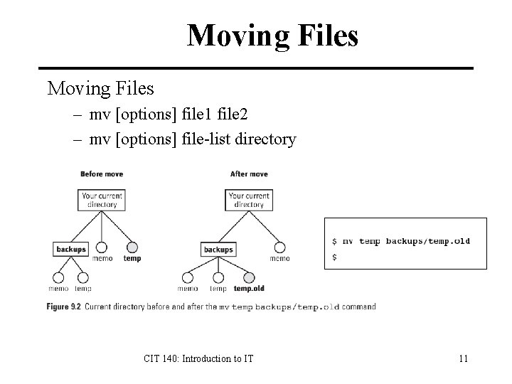 Moving Files – mv [options] file 1 file 2 – mv [options] file-list directory