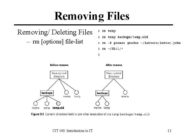 Removing Files Removing/ Deleting Files – rm [options] file-list CIT 140: Introduction to IT