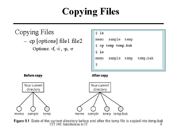 Copying Files – cp [options] file 1 file 2 Options: -f, -i , -p,