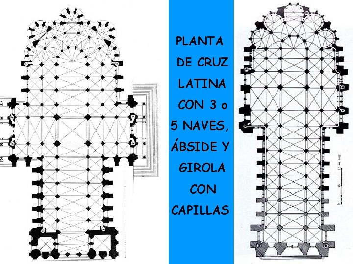 PLANTA DE CRUZ LATINA CON 3 o 5 NAVES, ÁBSIDE Y GIROLA CON CAPILLAS