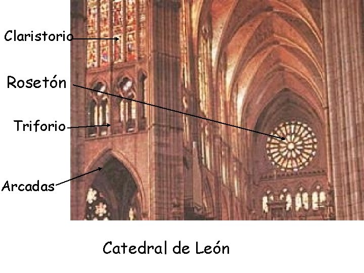 Claristorio Rosetón Triforio Arcadas Catedral de León 