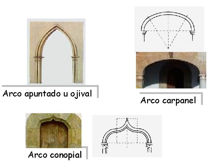 Arco apuntado u ojival Arco conopial Arco carpanel 