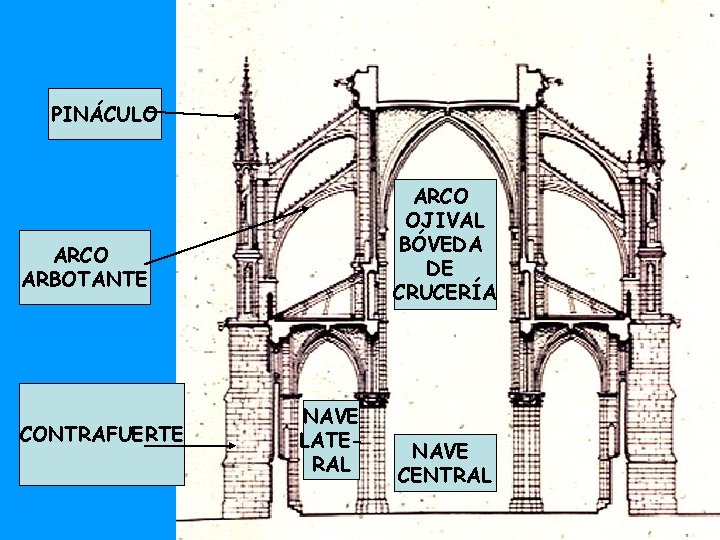 PINÁCULO ARCO OJIVAL BÓVEDA DE CRUCERÍA ARCO ARBOTANTE CONTRAFUERTE NAVE LATERAL NAVE CENTRAL 