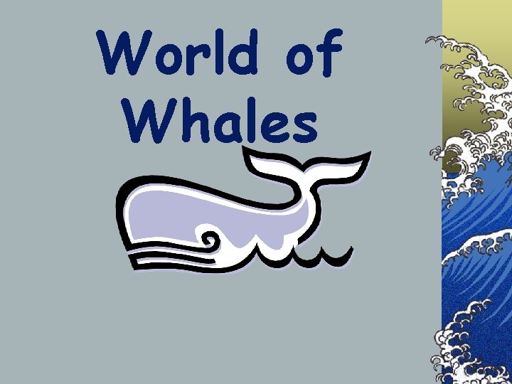 World of Whales 