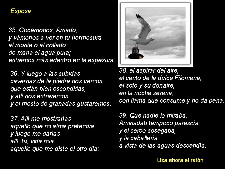Esposa 35. Gocémonos, Amado, y vámonos a ver en tu hermosura al monte o Esposa 35. Gocémonos, Amado, y vámonos a ver en tu hermosura al monte o