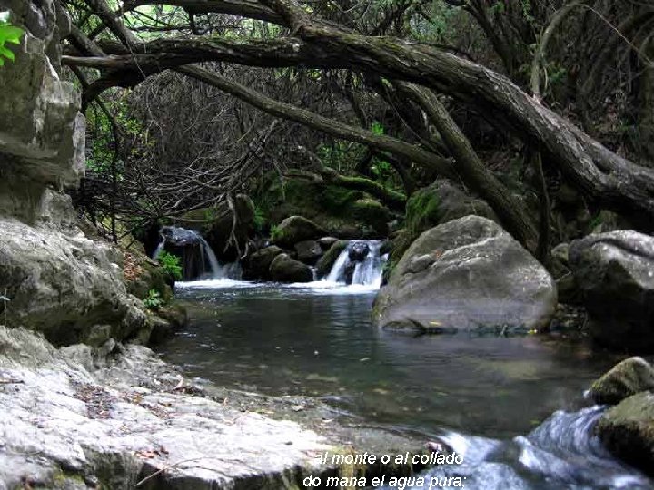 al monte o al collado do mana el agua pura; al monte o al collado do mana el agua pura;