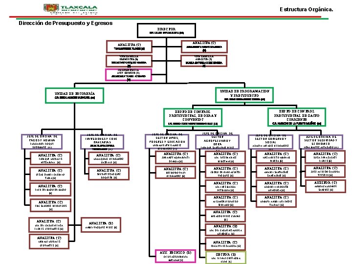 Estructura Orgánica. Dirección de Presupuesto y Egresos DIRECTOR C. P. LILIAN RIVERA NAVA (16)