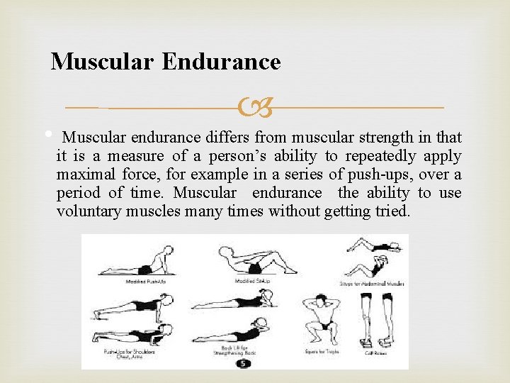 Muscular Endurance • Muscular endurance differs from muscular strength in that it is a