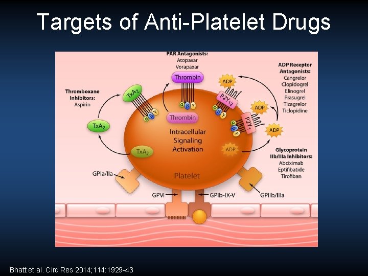 Targets of Anti-Platelet Drugs Bhatt et al. Circ Res 2014; 114: 1929 -43 