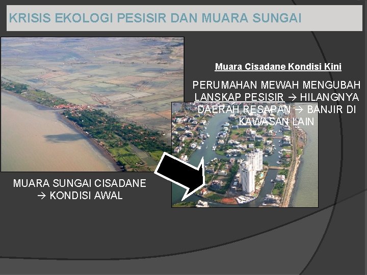 KRISIS EKOLOGI PESISIR DAN MUARA SUNGAI Muara Cisadane Kondisi Kini PERUMAHAN MEWAH MENGUBAH LANSKAP