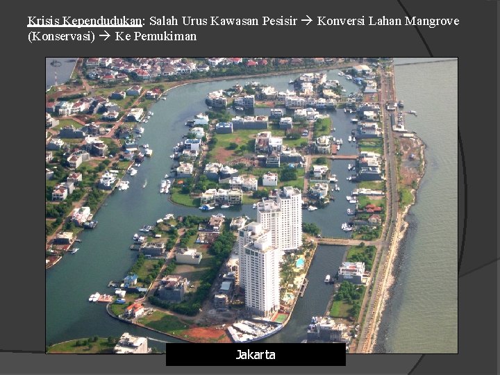 Krisis Kependudukan: Salah Urus Kawasan Pesisir Konversi Lahan Mangrove (Konservasi) Ke Pemukiman Jakarta 